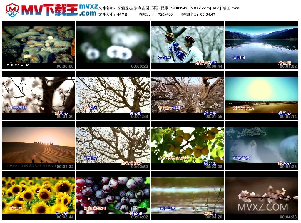 李涵逸-唐多令杏园_国语_民歌_NAI03542